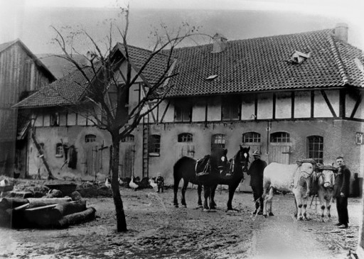 , hae_0287, Herbstaufnahme  auf den Hof von Korengel  , um 1926
