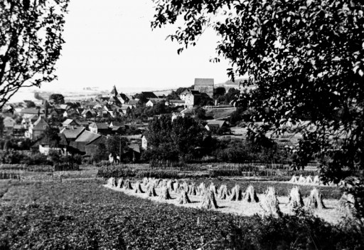 , he_0187, Getreidegarben am Wienberg, um 1929