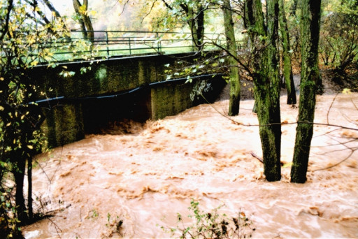 , li_0229, Hochwasser 1998, 1998