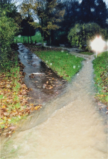 , li_0253, Hochwasser 1998, 1998