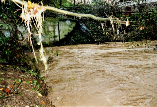 , li_0267, Hochwasser 1998, 1998