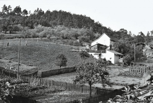 , sas_0009, Mühlenstieg, 1950